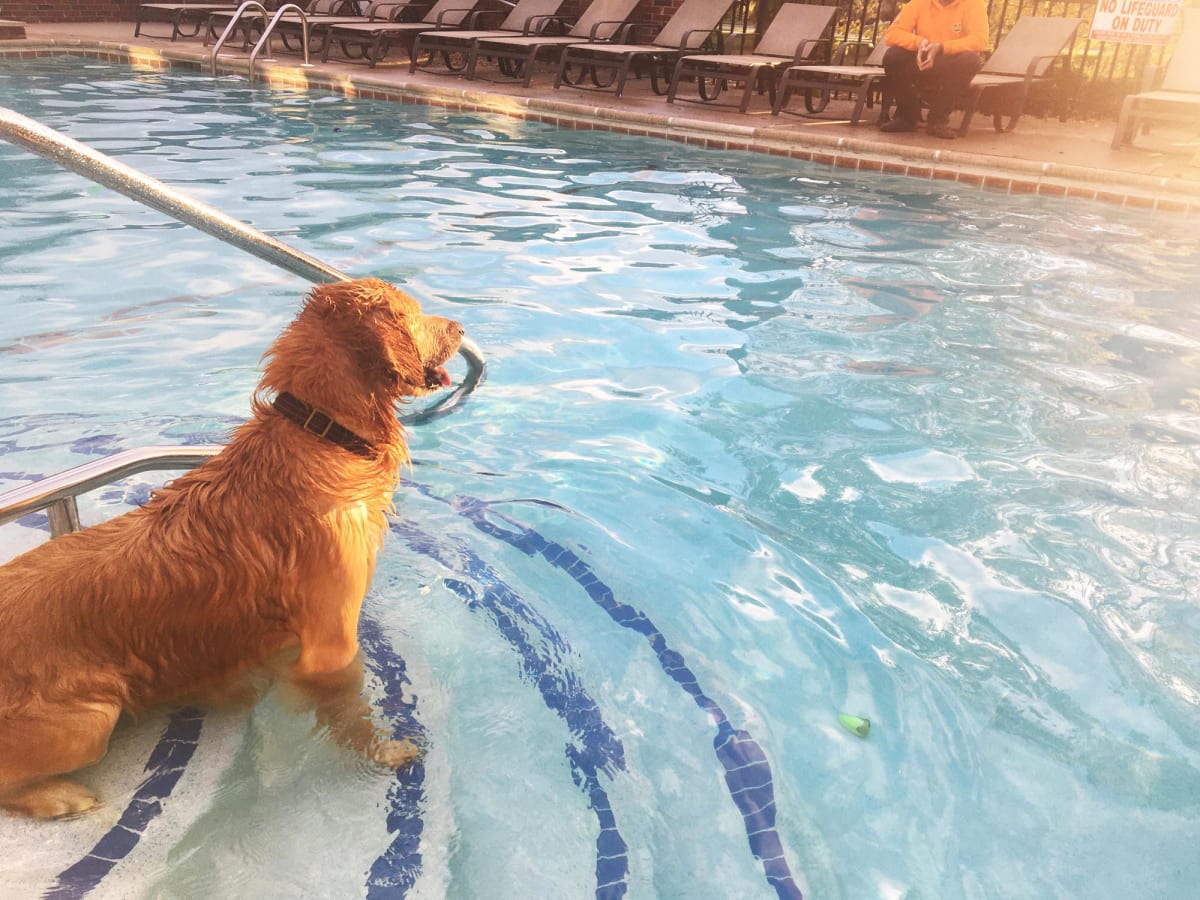 Photos and Video of Aspen Lakes Communities in Holt, MI